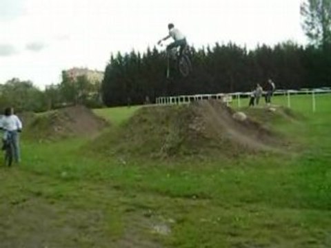 violeta champs de bosse a st gi