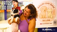 ONG mobiliza público em Belém para encontrar lares para pets adultos e filhotes