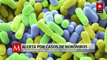 Norovirus genera alerta por contagios vía alimentos y agua contaminada