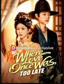 Where Love Once Was Too Late Drama Movies English Sub