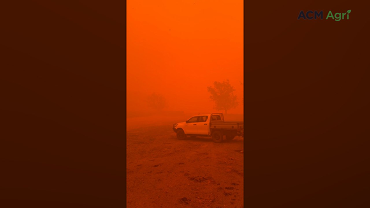 Fire sweeps through Koetong property in north-east Victoria