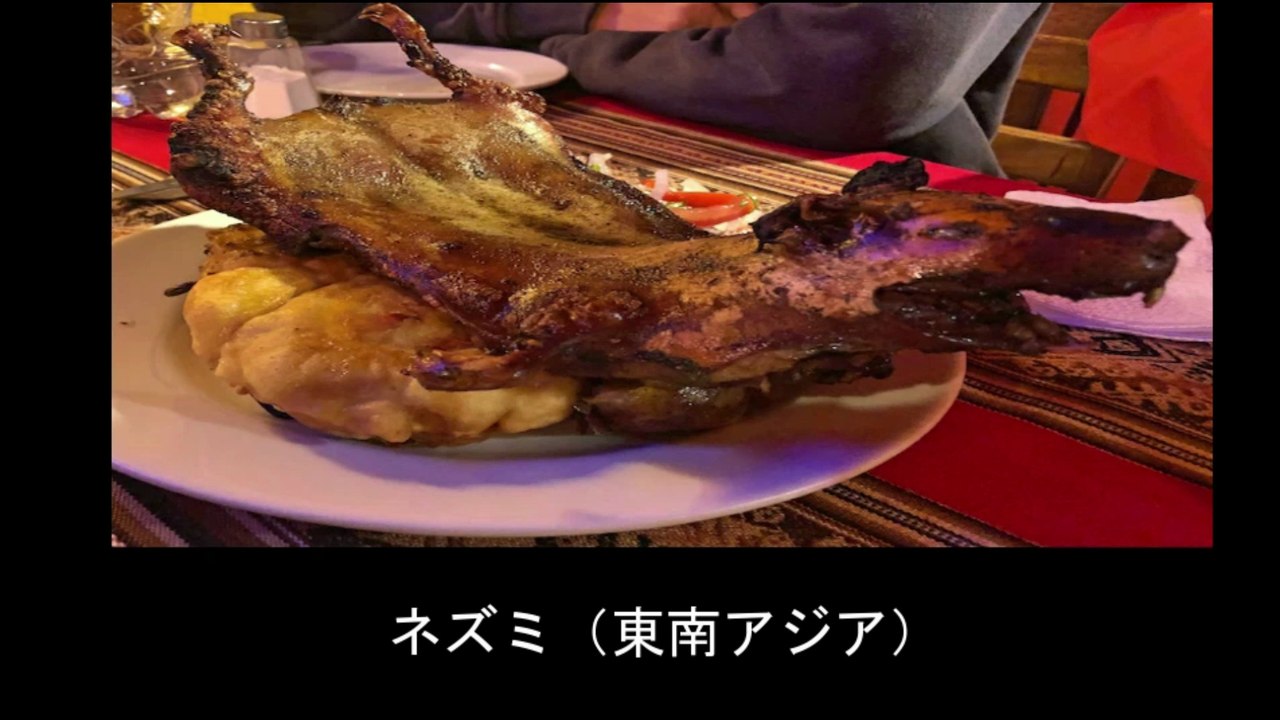 【豆知識】世界のゲテモノ屋台フード（閲覧注意）  【Trivia News】World's Weirdest Street Food (Viewer Discretion Advised)