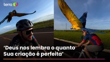 Ciclista viraliza ao registrar arara ‘escoltando’ grupo em atividade no interior de SP