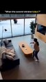 The post features an video showing a grizzly bear charging through a floor-to-ceiling window int