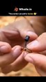 The video features a 12-second satisfying clip where a tiny camera is attached to an ant's head, revealing what an ant nest actually looks like from the inside--and it's nothing like what people expect.  As the ant enters its nest, the footage shows narro