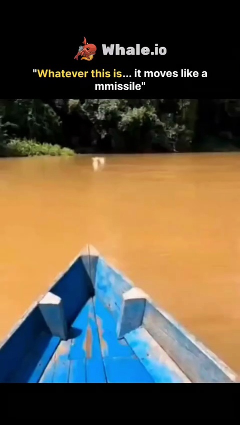 The post features a 10-second Al-generated reel showing people crossing a muddy-colored river by