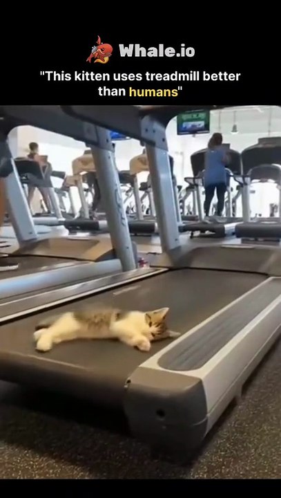 Humans.#trendingreels #reels #viral #posts #fyp #trending #viralreels #trendingpost #art