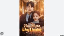 One Night One Destiny- Drama Movies English Sub