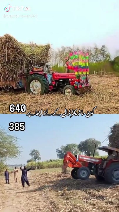 Punjabi mohal