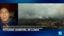 ¿Son los incendios en la Patagonia argentina provocados intencionalmente?