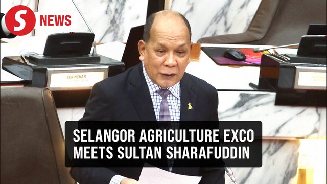 Selangor exco briefs Sultan Selangor on pig farm controls