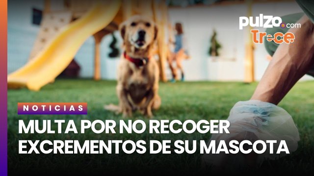 Multas por no recoger los desechos de tu mascota| Pulzo