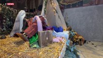 Agen : une crèche de Noël vandalisée dans une église