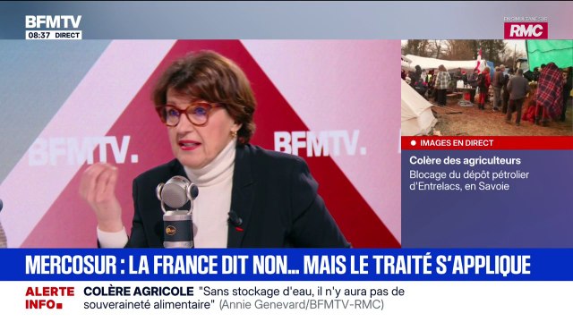 La ministre de l'Agriculture Annie Genevard affirme que l'accord avec le Mercosur pourrait entrer en application provisoire immédiate ce samedi
