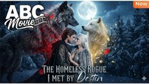 🧡🍏 🔥THE HOMELESS ROGUE I MET BY DESTIN Full Movie