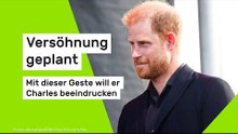 Versöhnung geplant - mit dieser Geste will er Charles beeindrucken