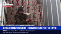 Des agriculteurs contrôlent la provenance du contenu de camions au port du Havre