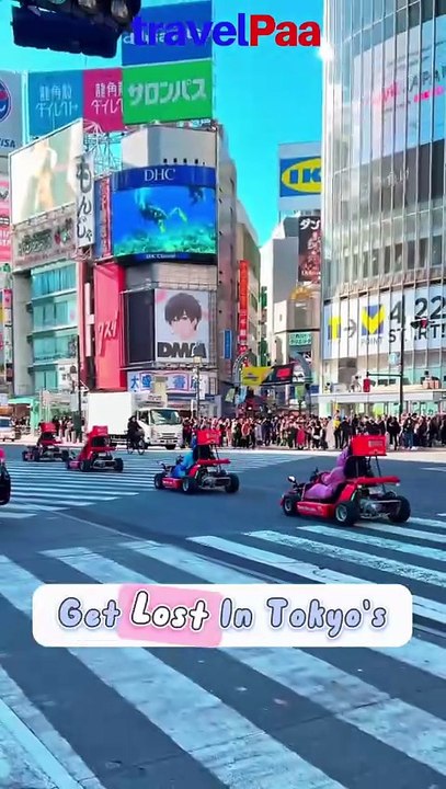 Explore Japan | Bullet Trains, Capsule Hotels & Cherry Blossoms | travelPaa