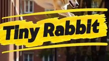 Tiny Rabbit