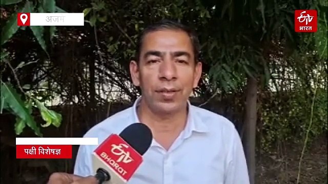 आनासागर झील में प्रवासी पक्षियों की घटती संख्या, जानिए क्या है वजह