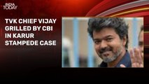 CBI grills Vijay in Karur stampede case, Raj Thackeray vs Annamalai showdown escalates, more
