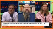 Alertan por cirugías veterinarias realizadas por personas sin título en Misiones