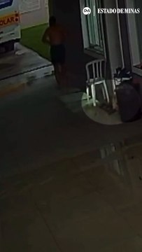 Tornado em São José dos Pinhais arrasta cachorro com ventos fortes