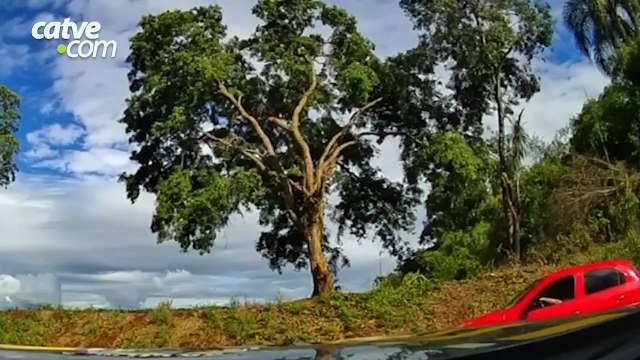 Caminhoneiro é preso por embriaguez ao volante na BR-373 em Coronel Vivida