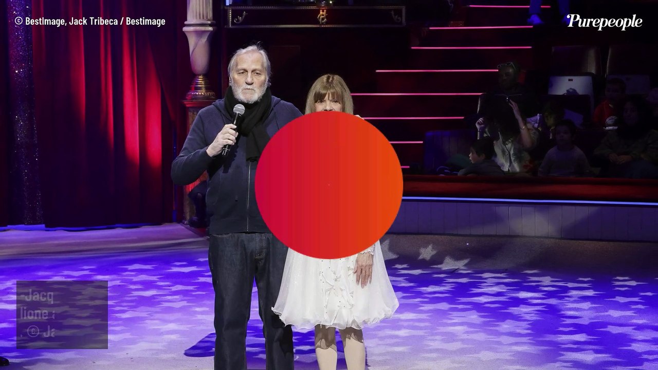 Chantal Goya et Jean-Jacques Debout bras dessus bras dessous, Sylvie Tellier, Faudel, Magloire… Les personnalités étaient nombreuses au Cirque Bouglione pour les Pièces Jaunes