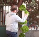 Space saving technology! Tower Gardening plants growing! 🥬