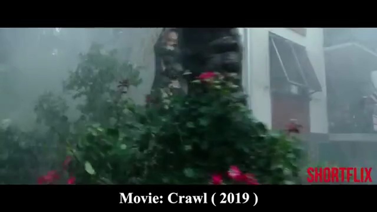 Crawl (2019) Movie Explained In Hindi/Urdu | Survival Thriller