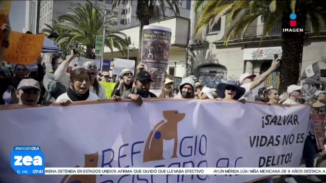 Decenas de personas marchan para exigir el regreso de los perros asegurados en el Refugio Franciscano