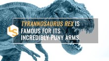 How Did T. rex Move Its Tiny Arms?