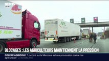 Colère agricole: les agriculteurs maintiennent la pression