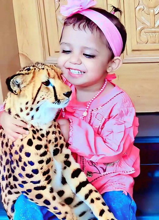 Tiger 🐅