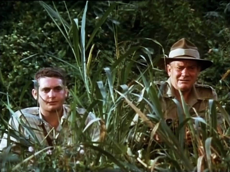 Zurück Vom River Kwai