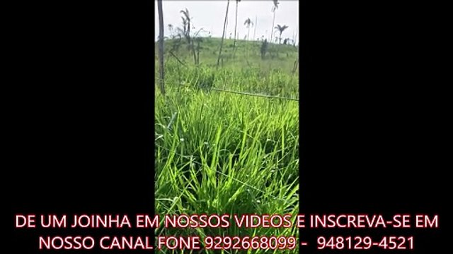 1050 ALQUEIRÃO A VENDA CMC
