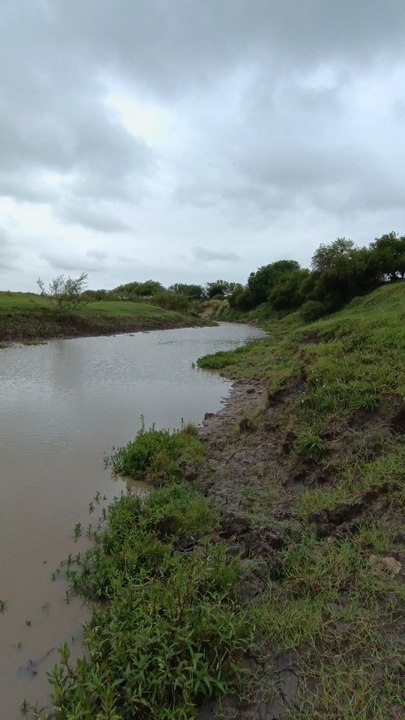 Pescando bagres laguneros en el Arroyo San Miguel 🎣