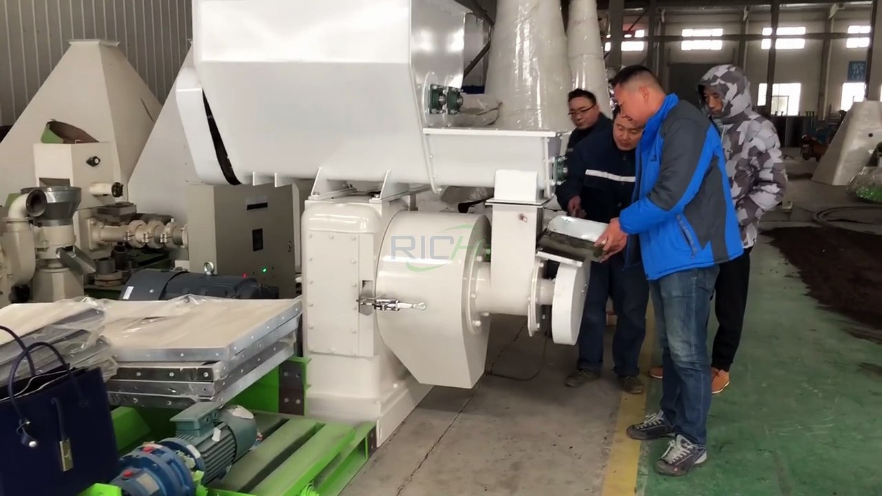 Thailand Biomass Pellet Machine Test Run | Real Production Trial for Thai Customer