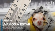 ¿Se congela CDMX? Las alcaldías con alerta y temperaturas bajísimas