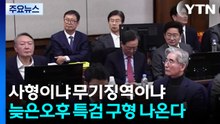 사형이냐 무기징역이냐...늦은 오후 특검 구형 나온다 / YTN