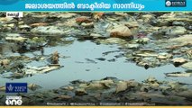 കൊച്ചിയിലെ ജലാശയങ്ങളിൽ ബാക്ടീരിയകളുടെ സാന്നിധ്യം വർധിച്ചതായി റിപ്പോർട്ട്