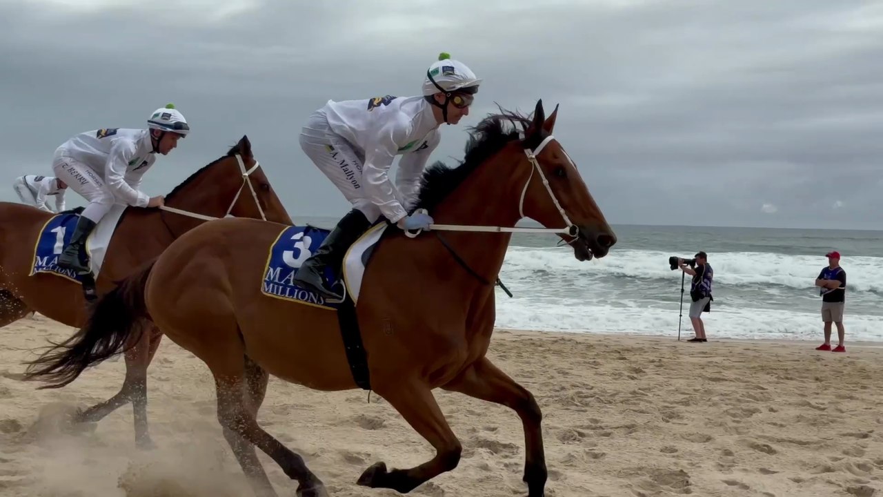 Magic Millions 2026: Beach Sprints & Barrier Draw | Broadbeach Highlights