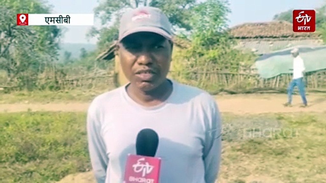 प्राथमिक पाठशाला चंदेला में अनोखी शिक्षा व्यवस्था, पढ़ाने के बजाय सोते हुए गाना सुनते हैं शिक्षक