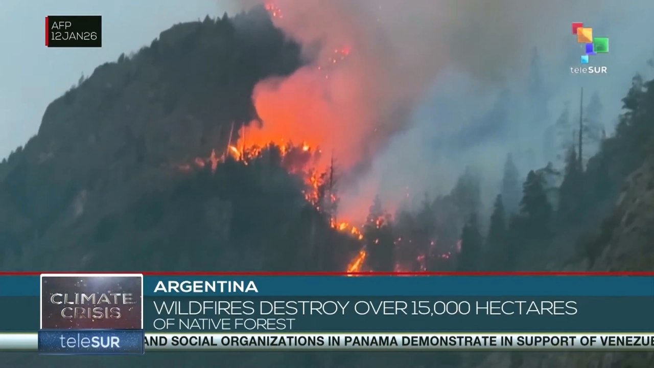 Argentina: Wildfires destroy over 15,000 hectares of native forest