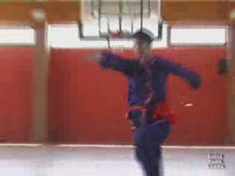 Wushu Chang Quan