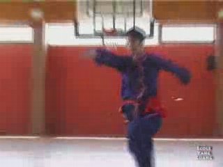 Wushu Chang Quan