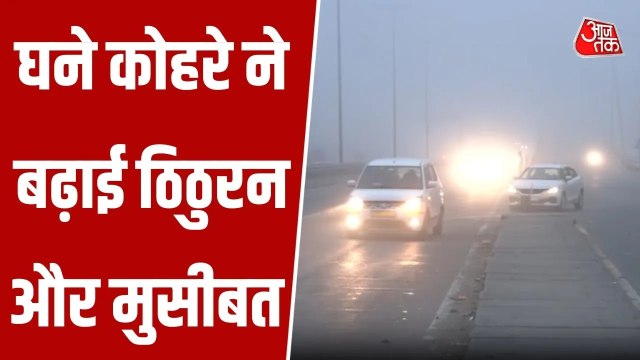 चंडीगढ़-शिमला नेशनल हाईवे पर घना कोहरा, धीमी हुई रफ्तार; देखें