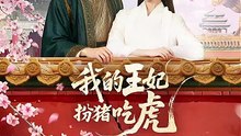 抖音新剧上线#陈政阳＆于心意 - 我的王妃扮猪吃虎 (上)