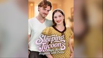 Sleeping Tycoon's Magic Bride Pregnant with Twins Full